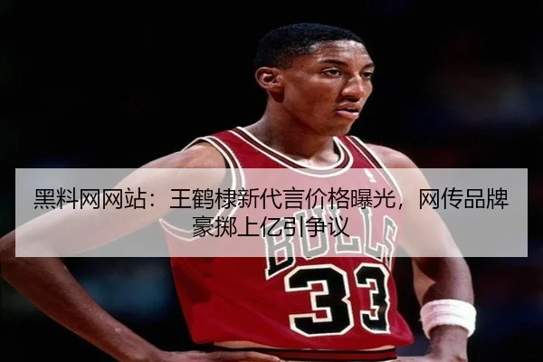 hei-liao-wang-wang-zhan-wang-he-di-xin-dai-yan-jia-ge-bao-guang-wang-chuan-pin-pai-hao-zhi-shang-yi-yin-zheng-yi-2-935.jpg